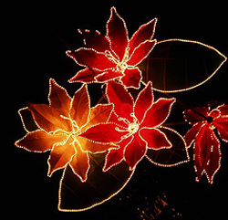 Call Holiday Lights Tour Nashville